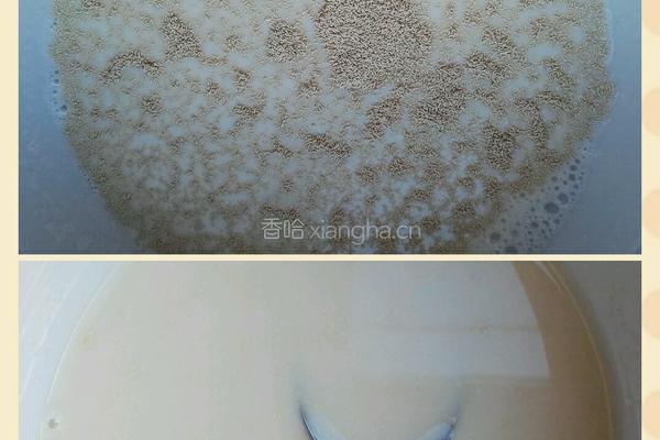 茯苓糕的做法图解2