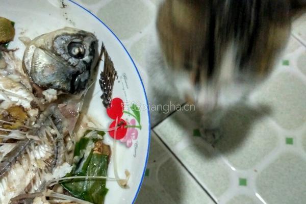 鲫鱼蒸蛋的做法图解5