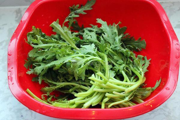 凉拌茼蒿的做法图解1