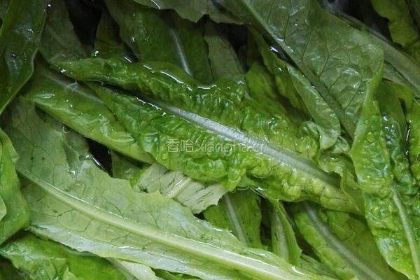白灼油麦菜的做法图解1