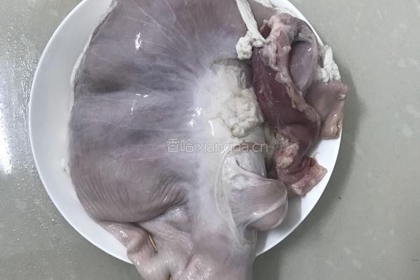 客家猪肚鸡汤的做法图解2
