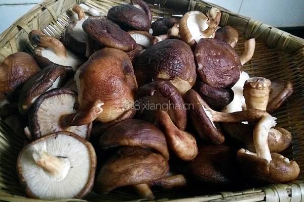 自制香菇肉酱的做法图解2