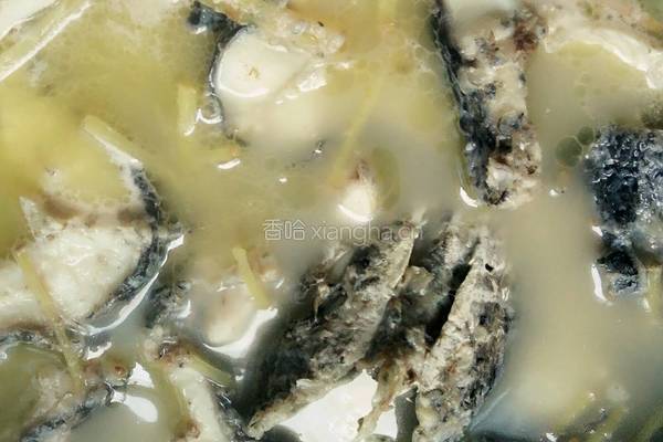 豆腐黑鱼汤的做法图解9