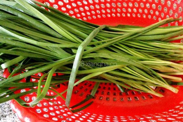 韭菜鸡蛋饺子馅料的做法图解1