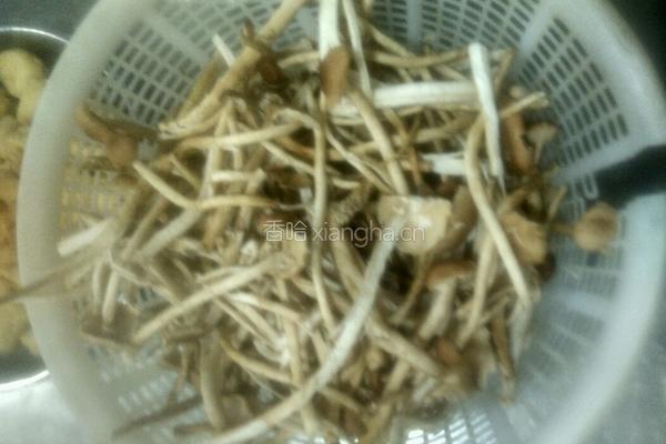 铁锅泥鳅的做法图解3