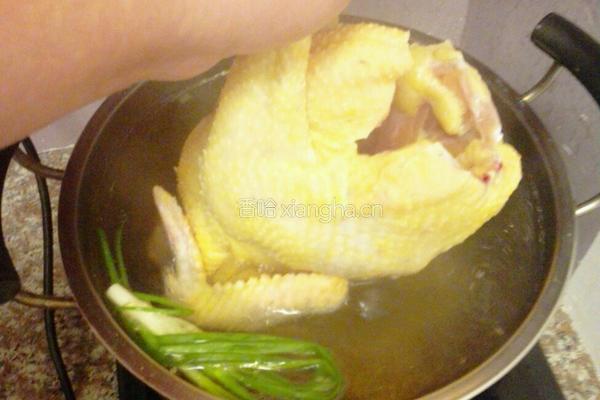 广式葱油鸡的做法图解3
