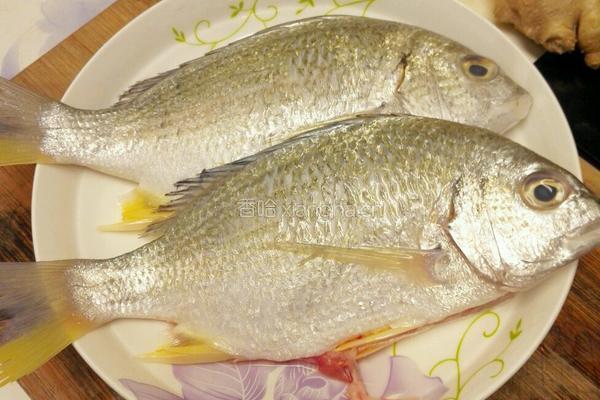 海鲫鱼豆腐菌菇汤的做法图解1
