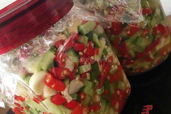 【自制爽脆泡菜】的做法图解4