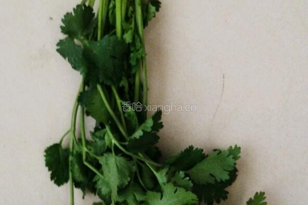 砂锅鱼头豆腐的做法图解4