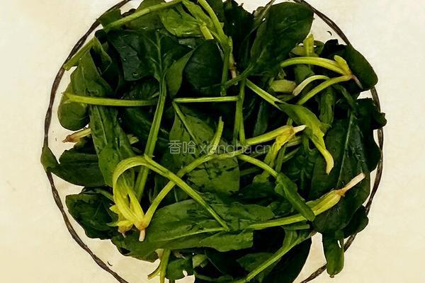 菠菜拌豆芽的做法图解2
