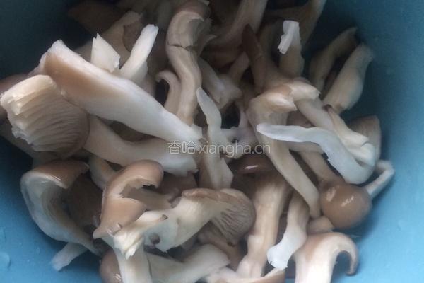 青菜炒菇的做法图解1