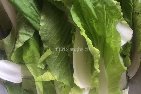 青菜炒菇的做法图解2