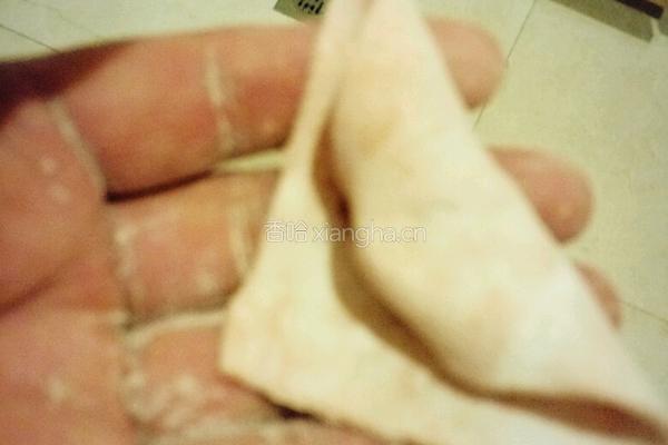 彩色牛肉馄饨的做法图解11