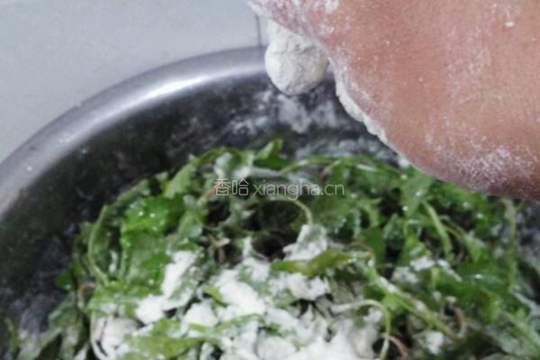 药膳 蒲公英蒸菜的做法图解2