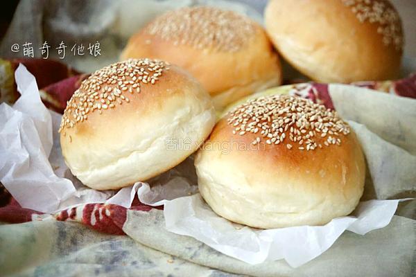 汉堡胚（波兰种poolish）的做法图解1