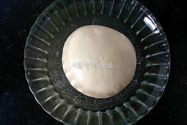汉堡胚（波兰种poolish）的做法图解6