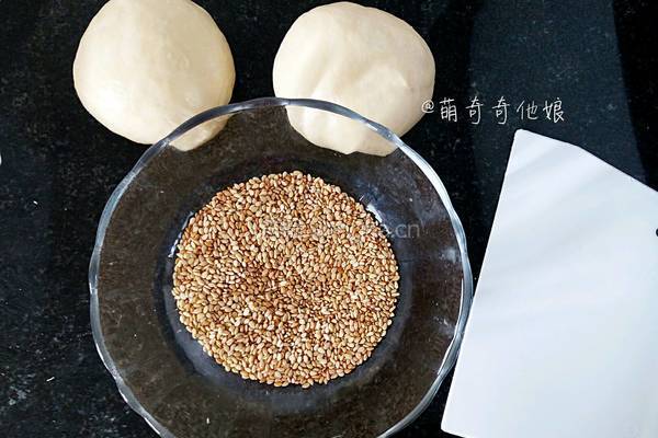 汉堡胚（波兰种poolish）的做法图解9