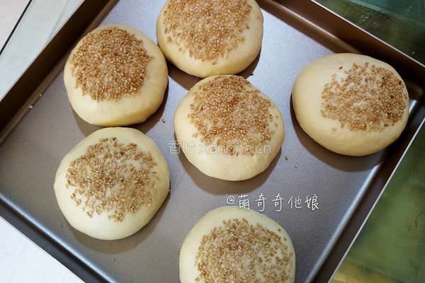 汉堡胚（波兰种poolish）的做法图解13