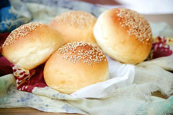 汉堡胚（波兰种poolish）的做法图解17