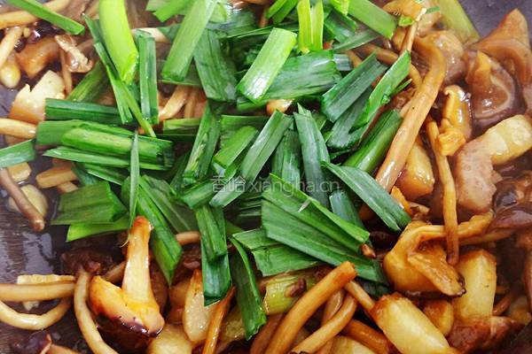 双菇烧肉的做法图解20