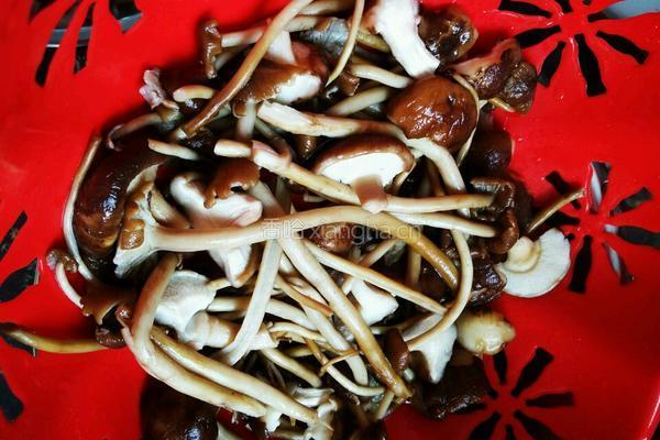 双菇烧肉的做法图解8
