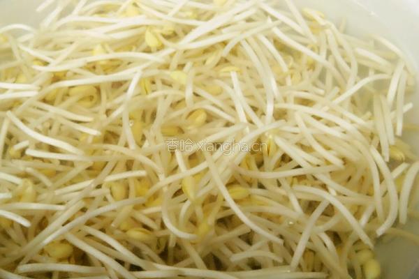 鲫鱼豆芽汤的做法图解4