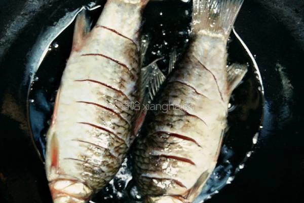 鲫鱼豆芽汤的做法图解6