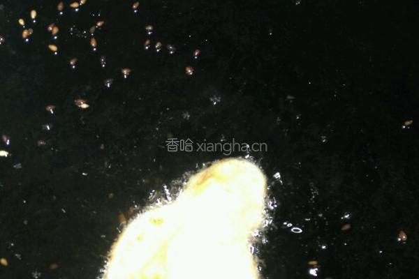 柿子饼的做法图解6