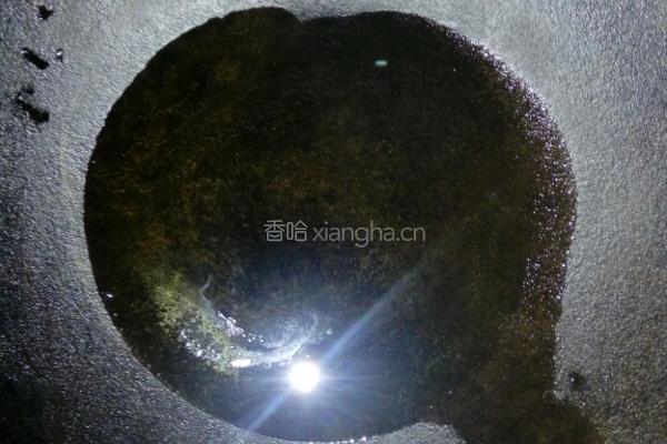 五花肉炒蒜苔的做法图解4