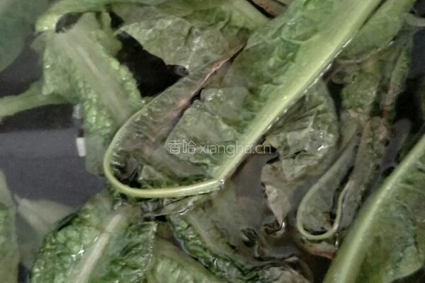 凉拌莴笋叶的做法图解3