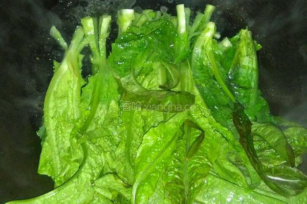 蒜茸淋油麦菜的做法图解3