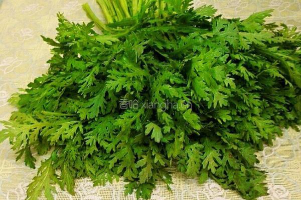 蒜味皇帝菜的做法图解1