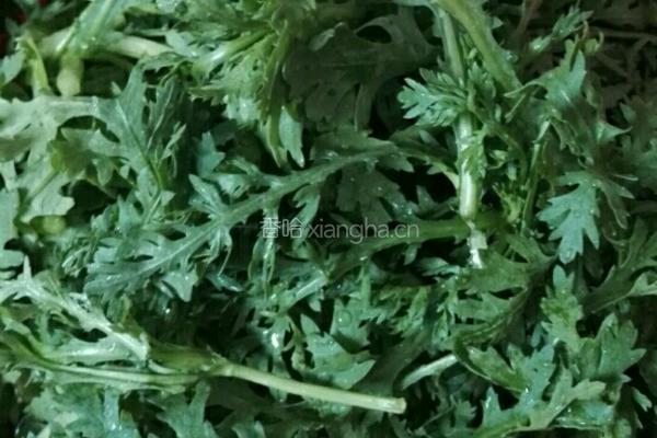 蒜味皇帝菜的做法图解2
