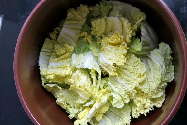 砂锅豆腐的做法图解5