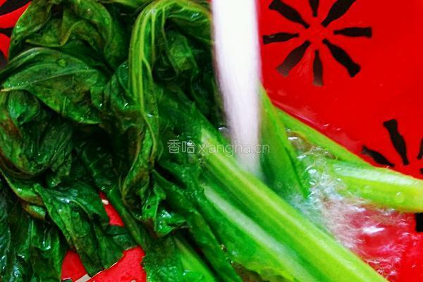 芥菜腊肉炒饭的做法图解3