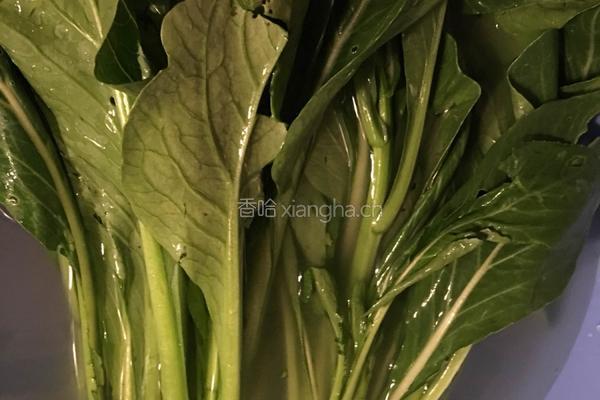 盐水菜心的做法图解1
