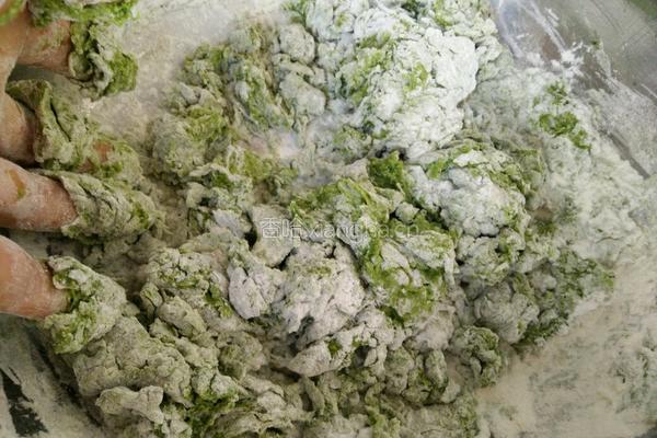 无水菠菜面团的做法图解5
