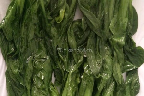 蚝油香菇青菜的做法图解6