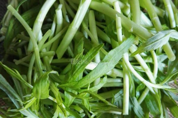 咸肉丝炒藜蒿的做法图解1