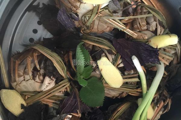 清蒸大闸蟹的做法图解4
