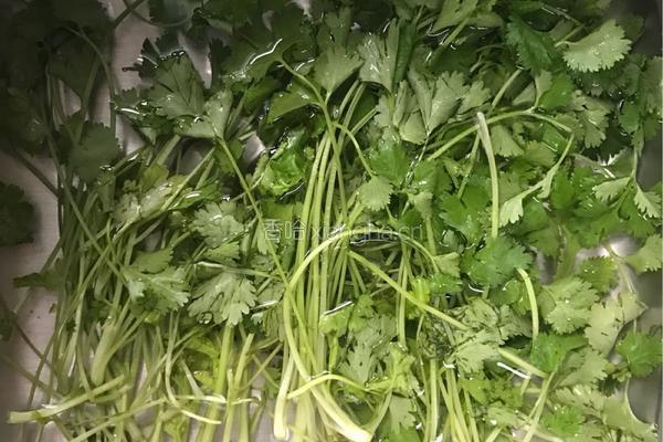 凉拌香菜花生碎的做法图解2