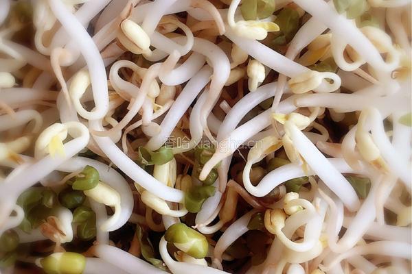 肉丝手掐菜的做法图解1