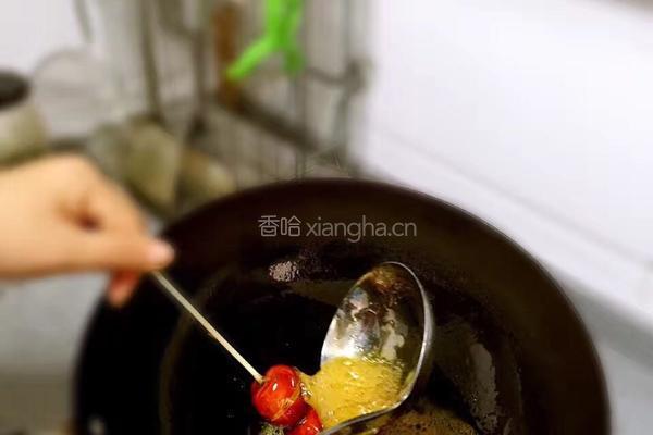 冰糖葫芦的做法图解9