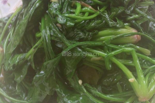 清炒菠菜的做法图解5