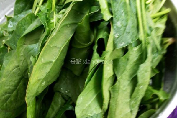 清炒菠菜的做法图解1