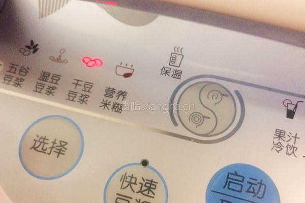原味豆浆的做法图解3