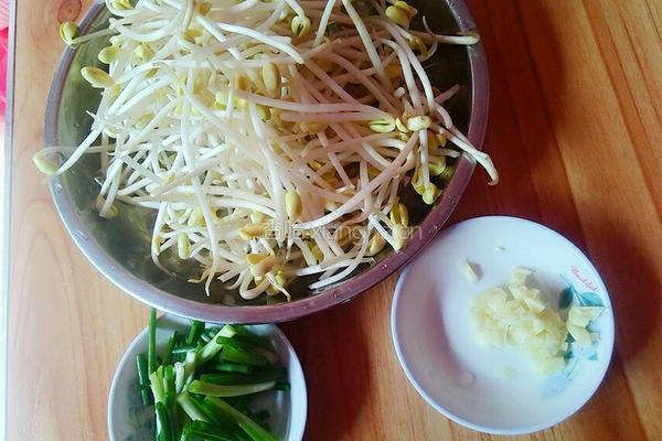 素炒豆芽的做法图解1