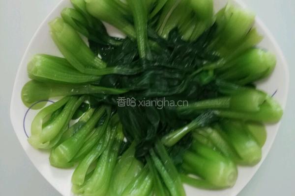 蚝油杏鲍菇的做法图解5