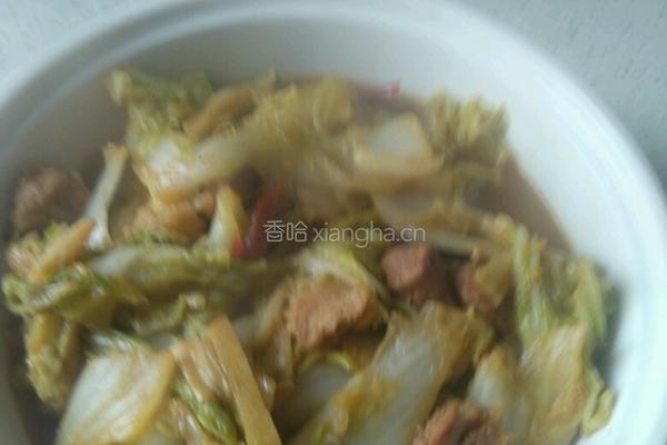 白菜炖肉的做法图解10