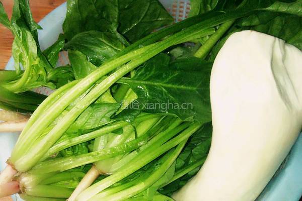 杏鲍菇炒菠菜的做法图解1
